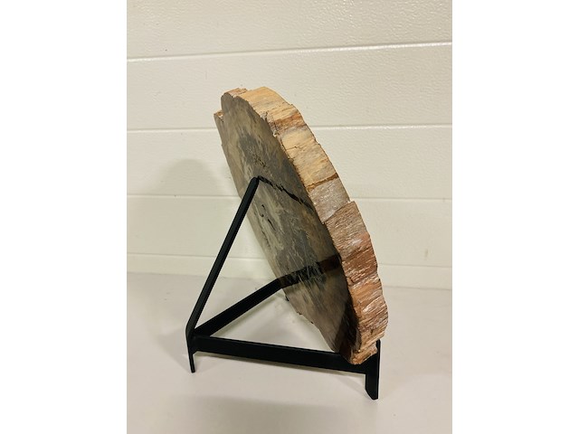 Versteend hout plak + standaard - afbeelding 5 van  5