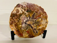 Versteend hout plak + standaard - afbeelding 2 van  5