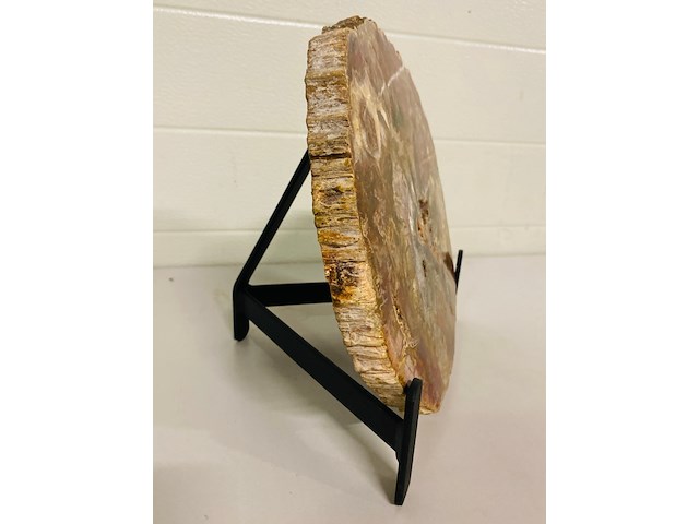 Versteend hout plak + standaard - afbeelding 3 van  5