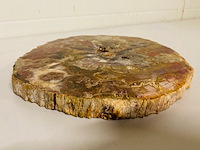Versteend hout plak + standaard - afbeelding 4 van  5