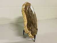 Versteend hout plak - afbeelding 2 van  3