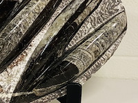 Versteende plaat met orthoceras fossielen - afbeelding 3 van  5