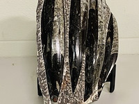 Versteende plaat met orthoceras fossielen - afbeelding 5 van  5