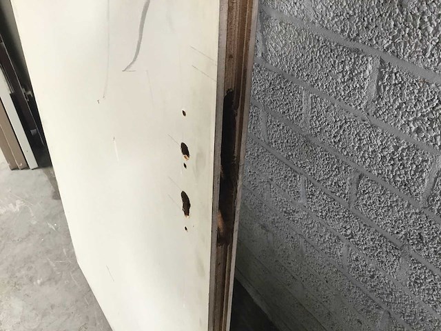 Verstevigde deur - afbeelding 2 van  6