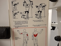 Vertical traction technogym - afbeelding 7 van  12