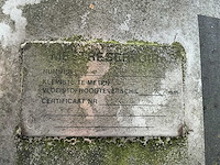 Verticale roestvaststalen opslagtank 1728liter (2x) - afbeelding 2 van  14