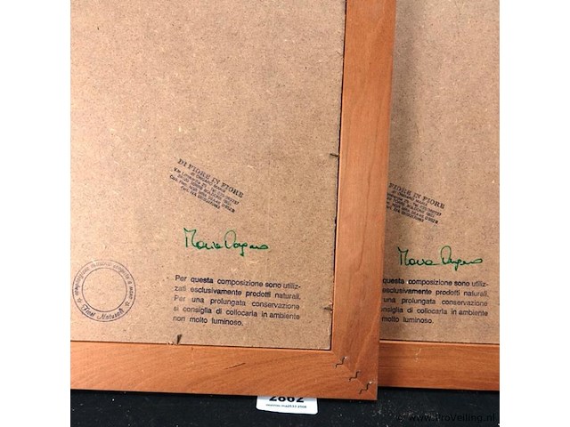 Verzameling droogbloemen achter glas en in houten lijsten - afbeelding 5 van  5