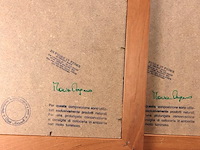 Verzameling droogbloemen achter glas en in houten lijsten - afbeelding 5 van  5