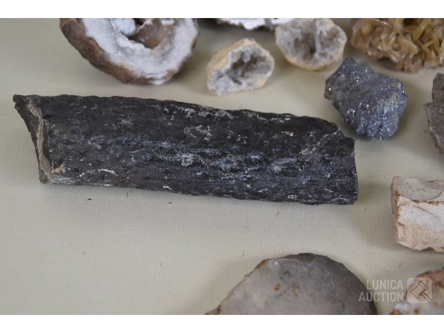 Verzameling fossielen en gesteente - afbeelding 2 van  10