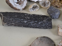 Verzameling fossielen en gesteente - afbeelding 2 van  10