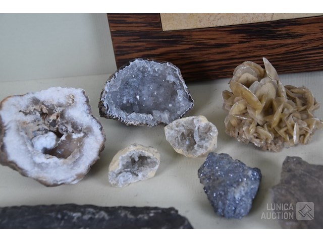 Verzameling fossielen en gesteente - afbeelding 4 van  10