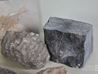 Verzameling fossielen en gesteente - afbeelding 6 van  10