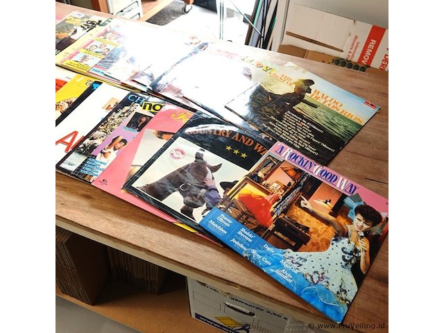 Verzameling lp's - afbeelding 2 van  5