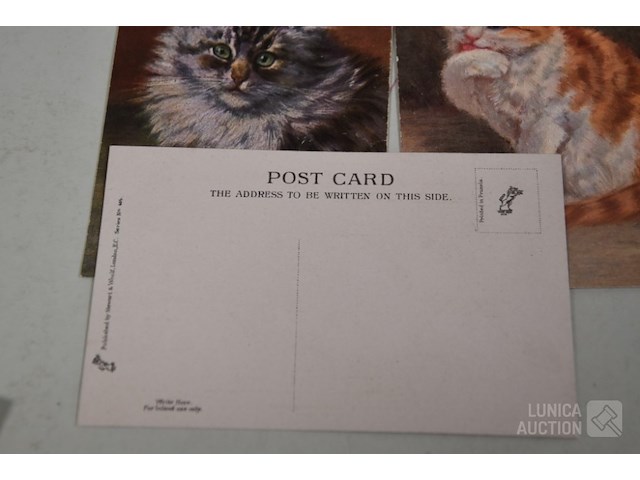 Verzameling oude ansichtkaarten - afbeelding 3 van  7