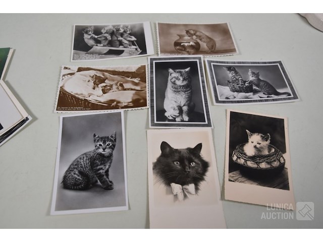 Verzameling oude ansichtkaarten - afbeelding 6 van  7