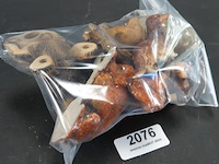 Verzameling teckels - afbeelding 5 van  5