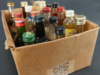 Verzameling vintage miniatuurflesjes (mignons) met diverse soorten alcoholische dranken. - afbeelding 1 van  5