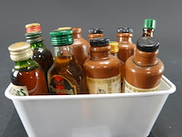 Verzameling vintage miniatuurflesjes (mignons) met diverse soorten alcoholische dranken. - afbeelding 2 van  5