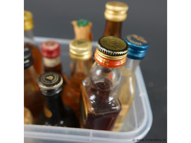 Verzameling vintage miniatuurflesjes (mignons) met diverse soorten alcoholische dranken. - afbeelding 4 van  5