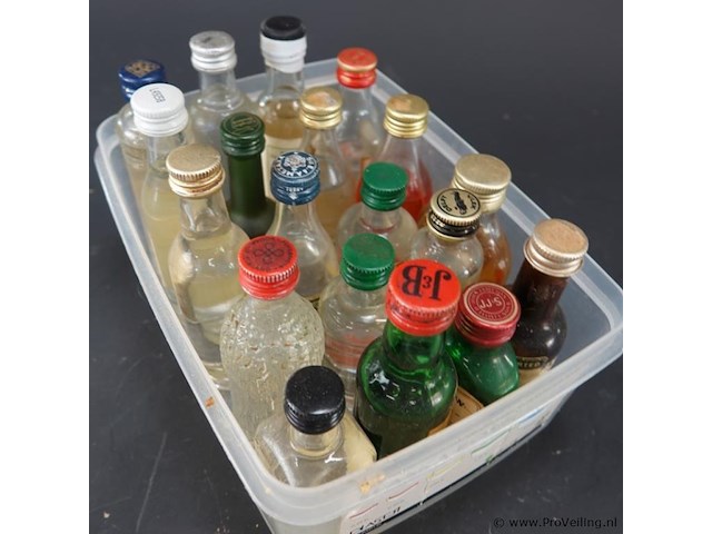 Verzameling vintage miniatuurflesjes (mignons) met diverse soorten alcoholische dranken. - afbeelding 5 van  5