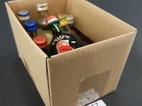 Verzameling vintage miniatuurflesjes (mignons) met diverse soorten alcoholische dranken. - afbeelding 1 van  5