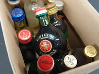 Verzameling vintage miniatuurflesjes (mignons) met diverse soorten alcoholische dranken. - afbeelding 4 van  5