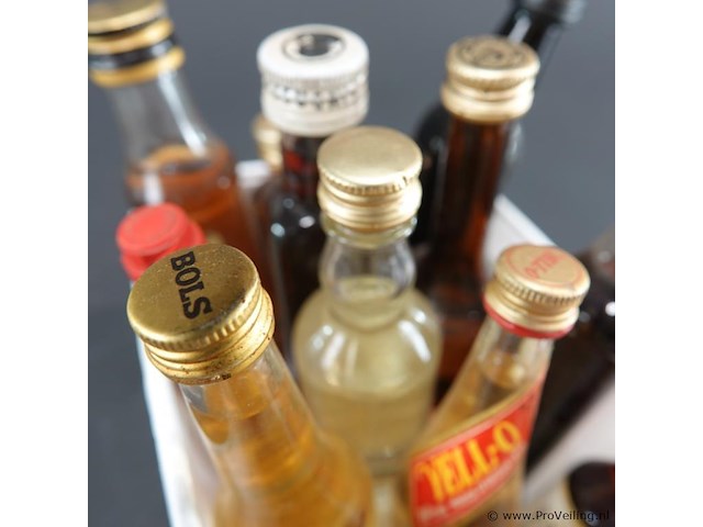 Verzameling vintage miniatuurflesjes (mignons) met diverse soorten alcoholische dranken. - afbeelding 3 van  5