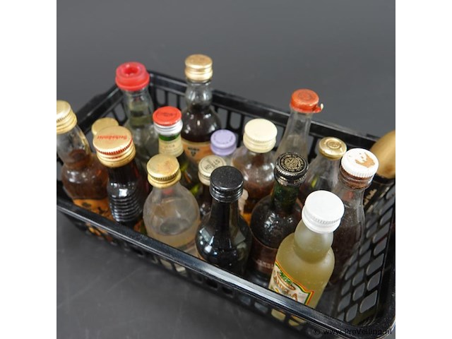 Verzameling vintage miniatuurflesjes (mignons) met diverse soorten alcoholische dranken. - afbeelding 5 van  5