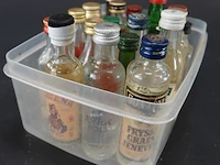 Verzameling vintage miniatuurflesjes (mignons) met diverse soorten alcoholische dranken.