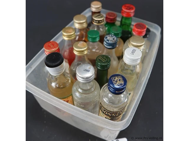 Verzameling vintage miniatuurflesjes (mignons) met diverse soorten alcoholische dranken. - afbeelding 2 van  6