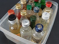 Verzameling vintage miniatuurflesjes (mignons) met diverse soorten alcoholische dranken. - afbeelding 2 van  6