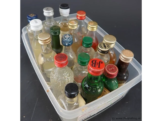 Verzameling vintage miniatuurflesjes (mignons) met diverse soorten alcoholische dranken. - afbeelding 5 van  6