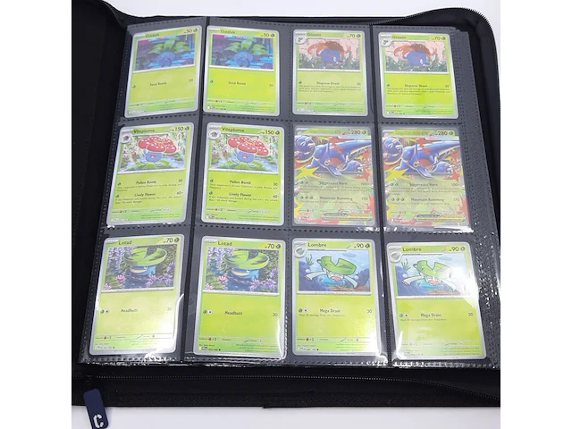 Verzamelmap met kaarten, pokémon, o.a. mega heracross ex pfl en 004/094 - afbeelding 12 van  21