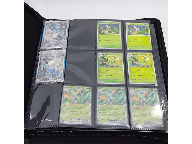 Verzamelmap met kaarten, pokémon, o.a. serperior ex blk en 003/086 - afbeelding 12 van  37