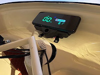 Vespa (look) - ape - ice cream - foodtruck - afbeelding 5 van  24