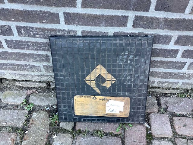 Vetter drukkussen - afbeelding 2 van  4