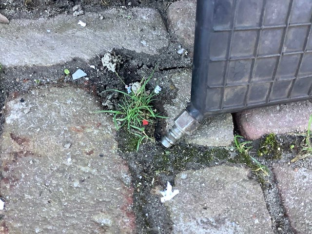 Vetter drukkussen - afbeelding 4 van  4