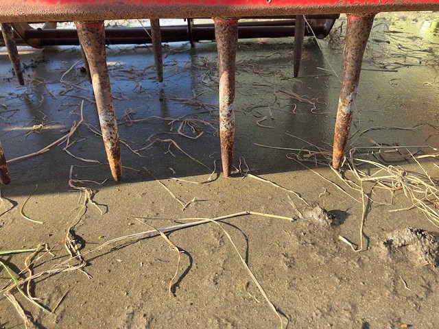 Vicon schudeg - afbeelding 7 van  9