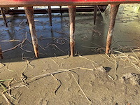 Vicon schudeg - afbeelding 7 van  9