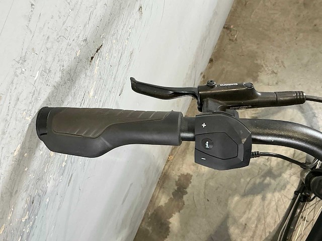 Victoria e trekking 11.4 h elektrische damesfiets - afbeelding 7 van  8