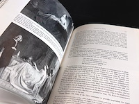 Victorian panorama - afbeelding 5 van  5