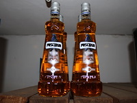 Vier flessen wodka pushkin timewarp. - afbeelding 1 van  2