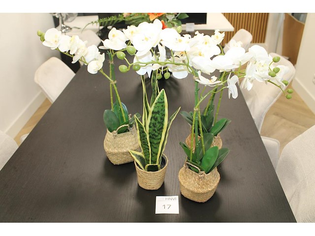 Vier kunstplanten w.o. orchideeën. - afbeelding 1 van  1