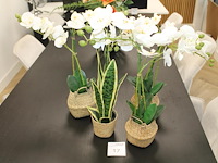 Vier kunstplanten w.o. orchideeën. - afbeelding 1 van  1