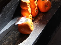 Vier mandarijn potten in twee uitvoeringen. - afbeelding 2 van  2