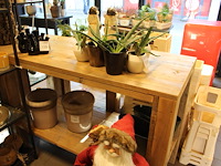 Vier showtafels van steigerhout. afmeting 150 x 70 x 100 cm en 80 x 80 x 85 cm. - afbeelding 4 van  7