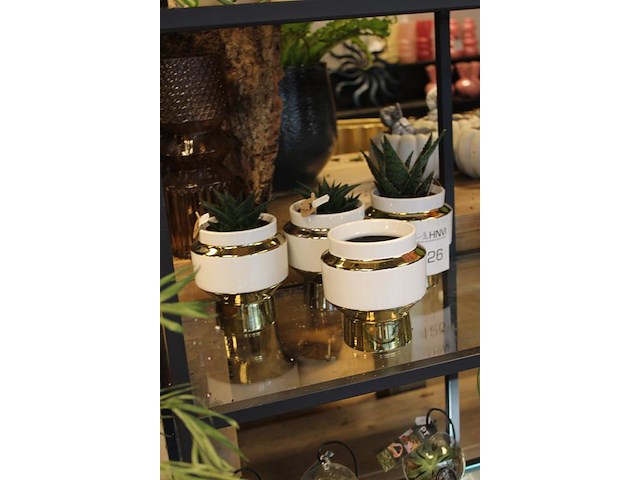 Vier vazen waarvan drie met cactus hoogte 15 cm. - afbeelding 2 van  2