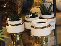 Vier vazen waarvan drie met cactus hoogte 15 cm. - afbeelding 2 van  2