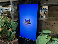 Viewsonic ep5540t reclamezuil 82x190,5cm