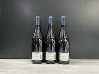 Vigneti massa, derthona timorasso 'sterpi' 2019 (3x) - afbeelding 2 van  3